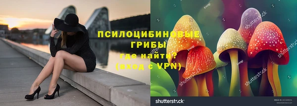 молекула духа Белоозёрский